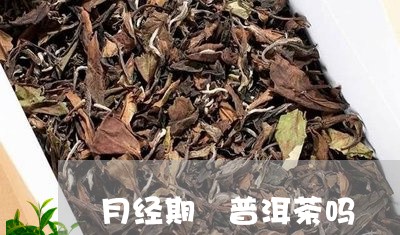 月经期 普洱茶吗/2023041367261